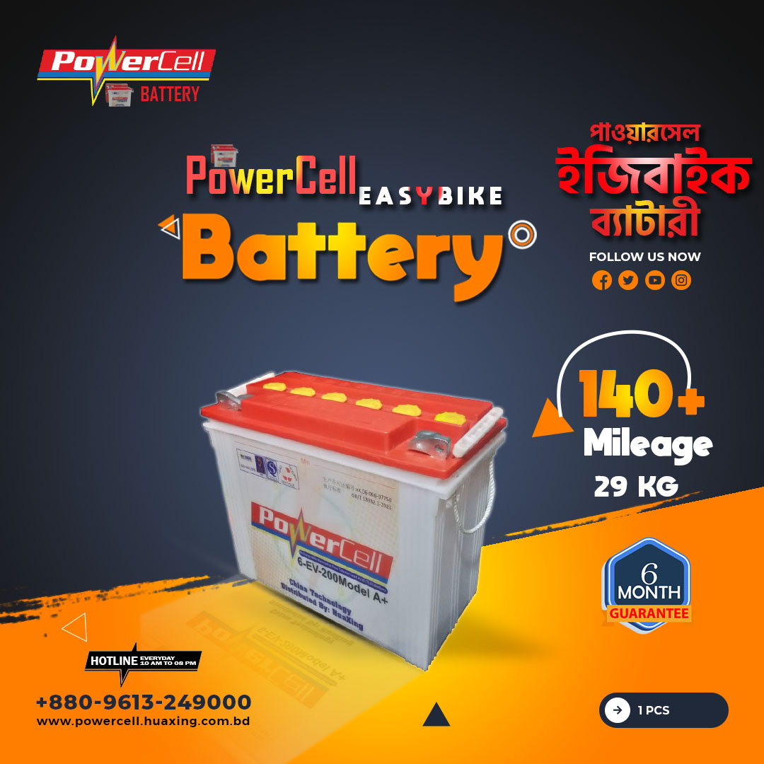 PowerCell Easybike Battery 29 KG