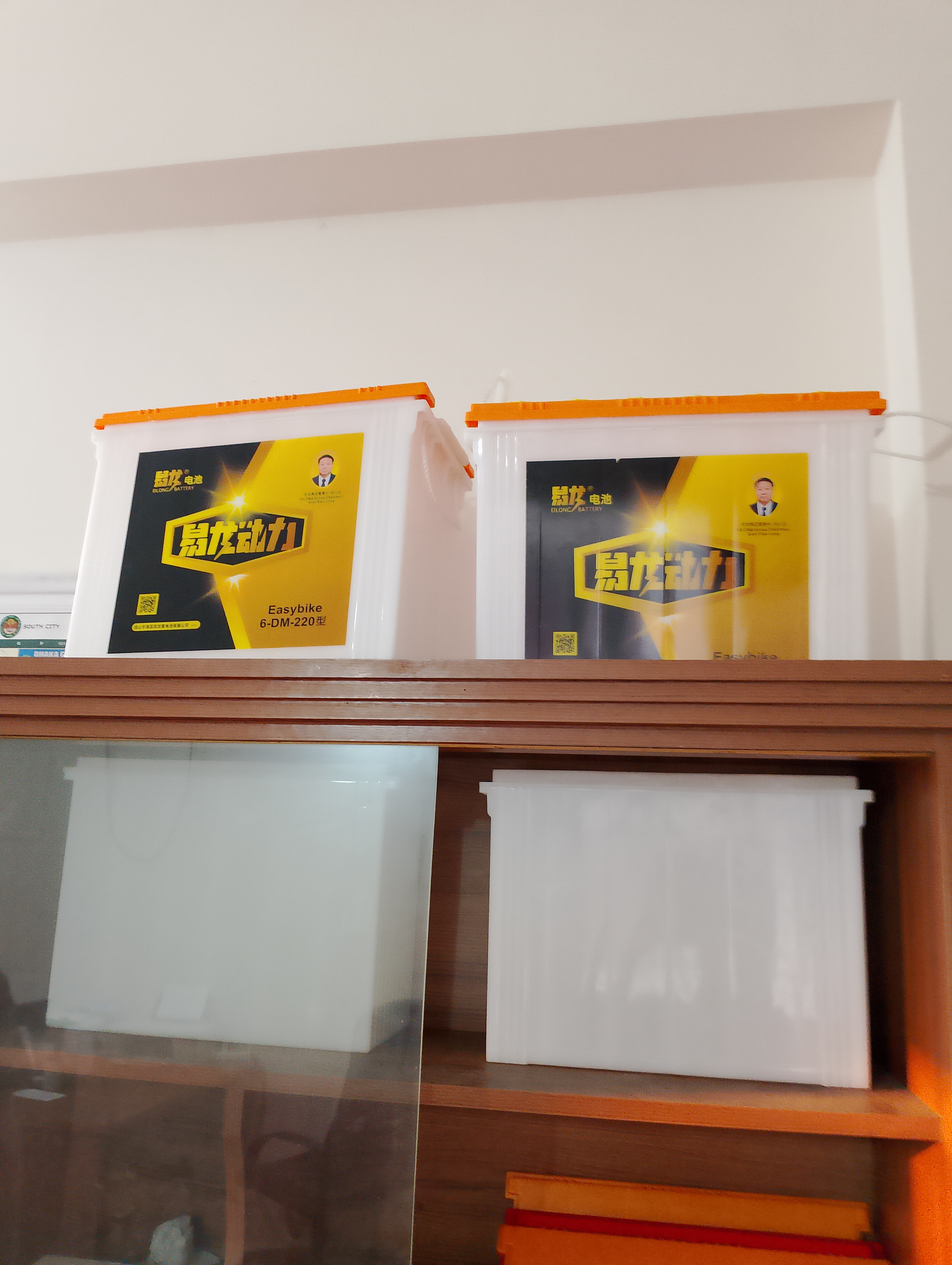 Eilong Dry Battery 6-DM-220