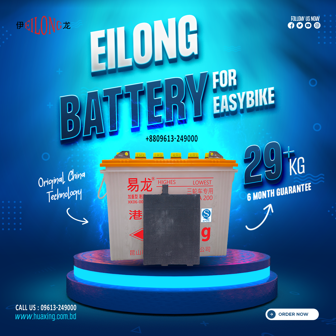 Eilong Battery for Easybike 29+ KG